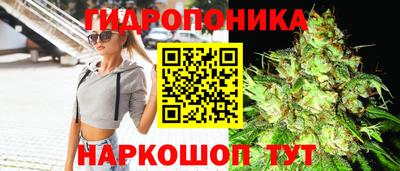 ALPHA PVP Гусев