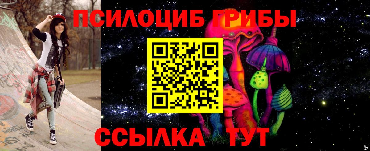 Галлюциногенные грибы мухоморы  Вход с VPN  Менделеевск  Галлюциногенные грибы Psilocybine cubensis 